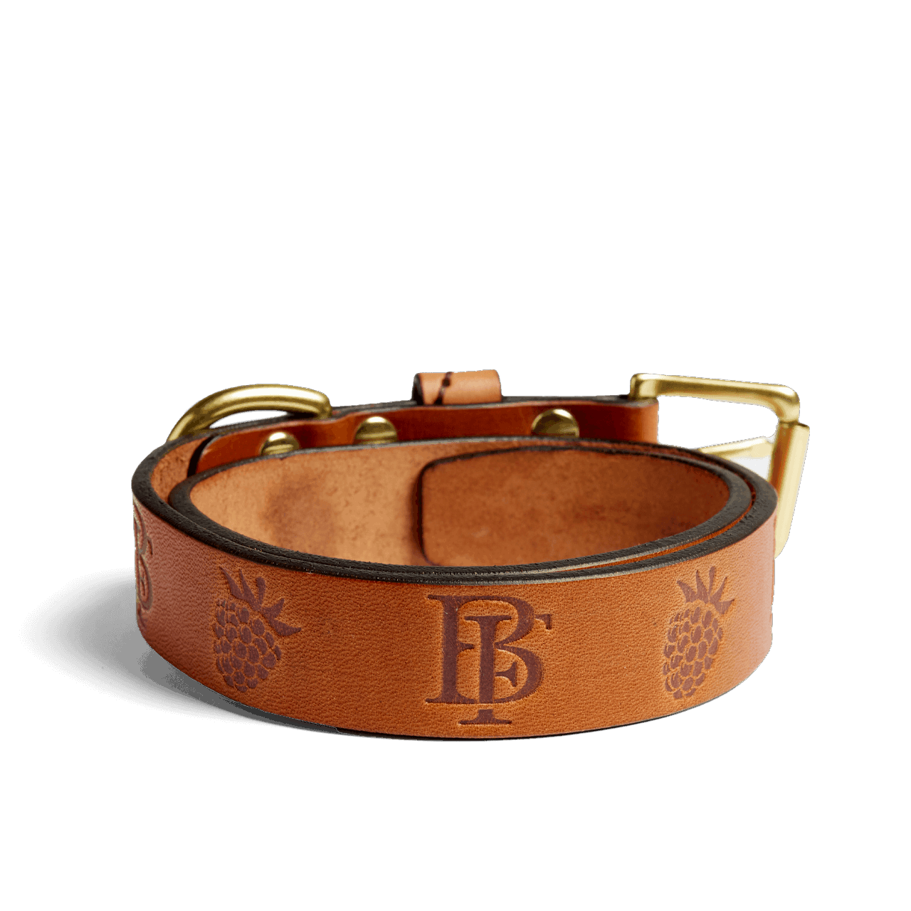 Embossed Leather Dog Collar