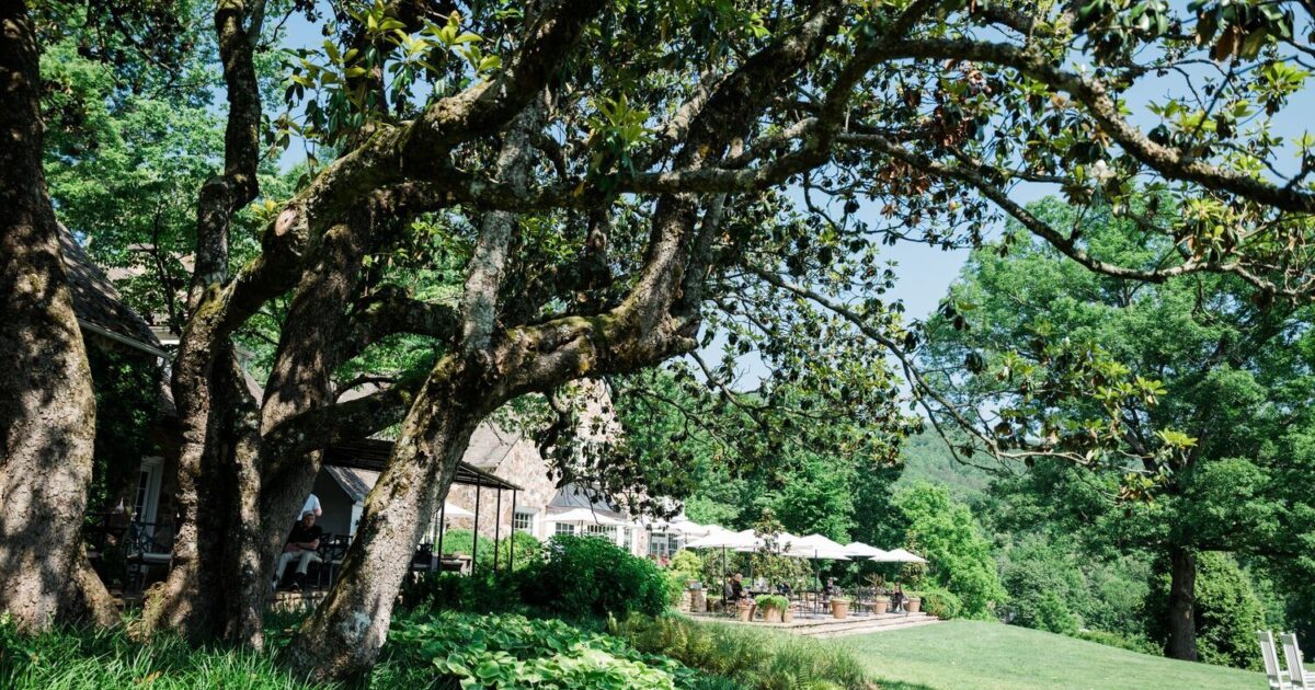 Blackberry Farm Summer Blackberry Magazine