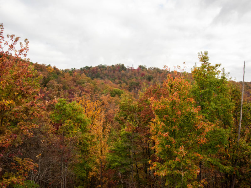 Blackberry Mountain Fall