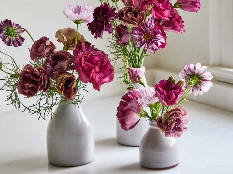 Flowers from the Farm
