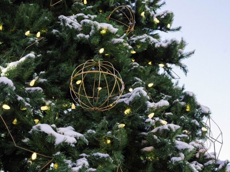 Holiday Décor at Blackberry