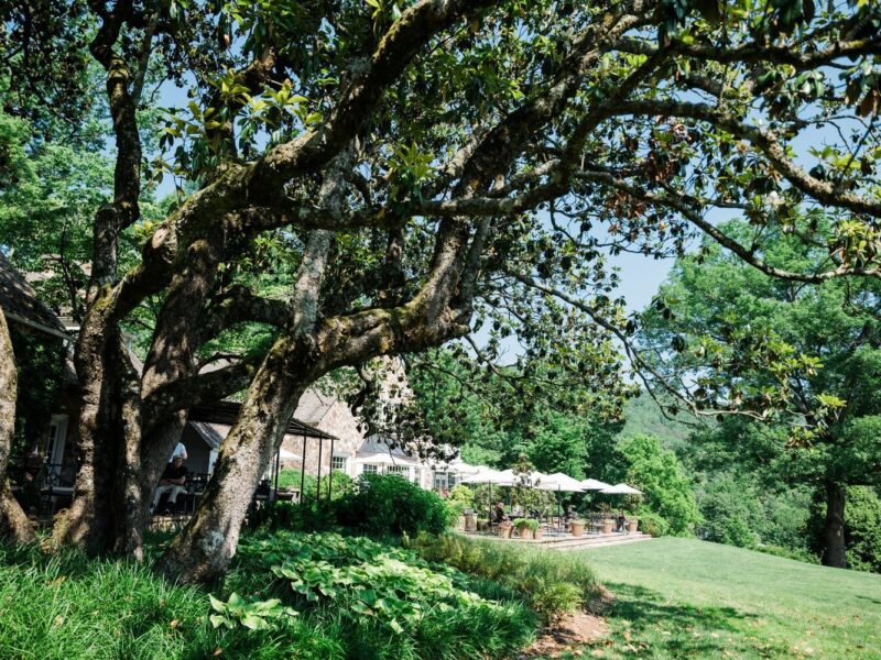 Blackberry Farm Summer