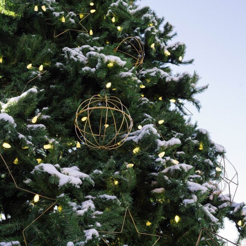 Holiday Décor at Blackberry