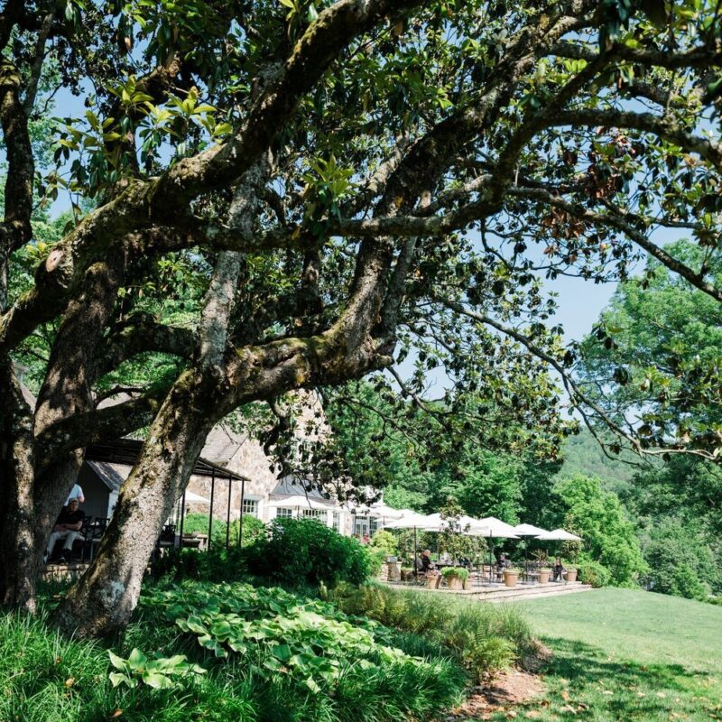 Blackberry Farm Summer