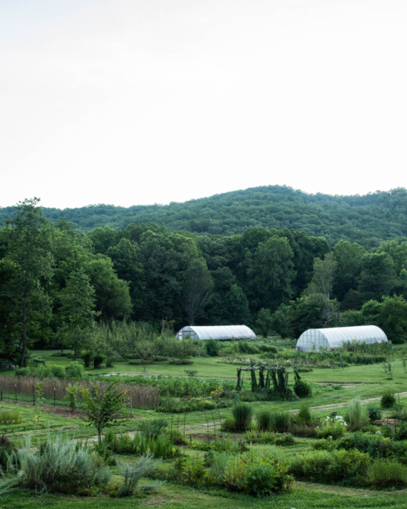 Garden Month 2020