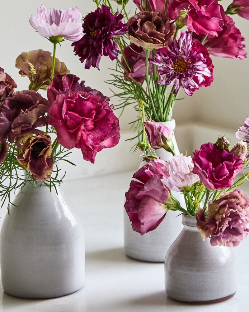 Flowers from the Farm