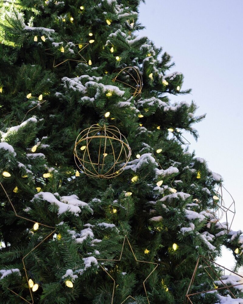Holiday Décor at Blackberry