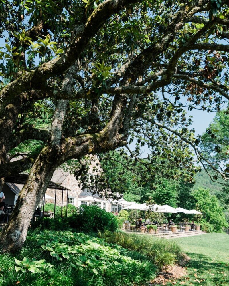 Blackberry Farm Summer