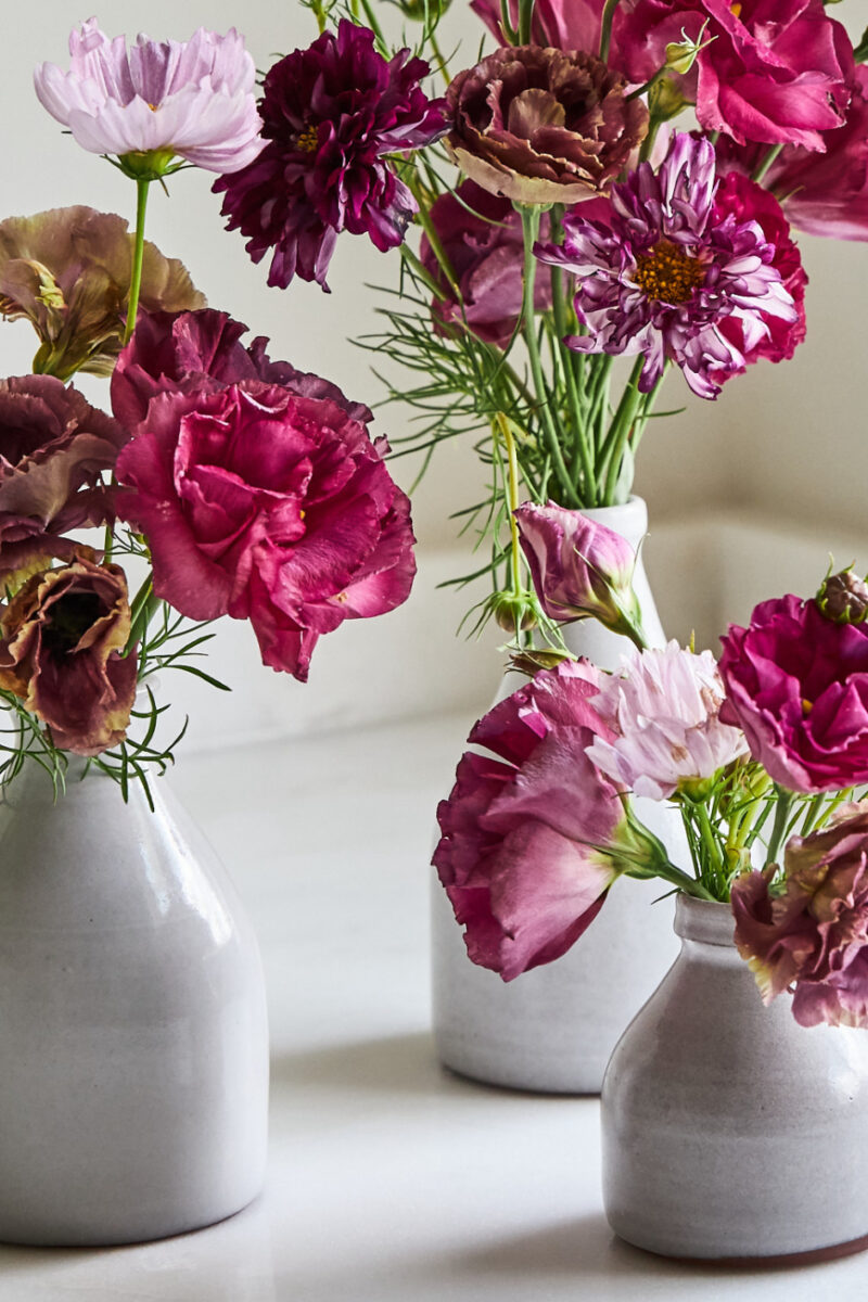 Flowers from the Farm