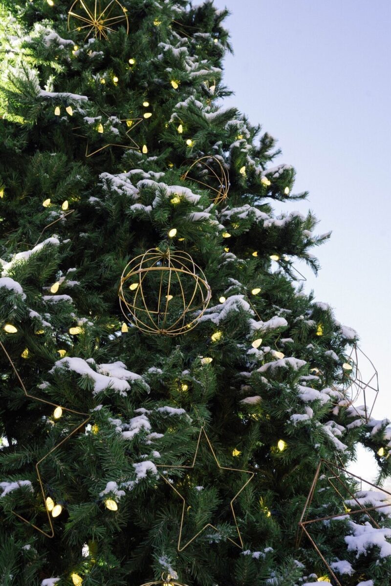 Holiday Décor at Blackberry