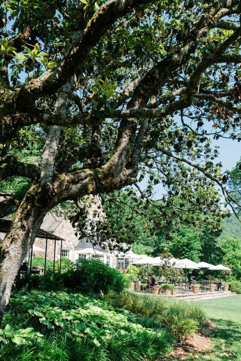 Blackberry Farm Summer