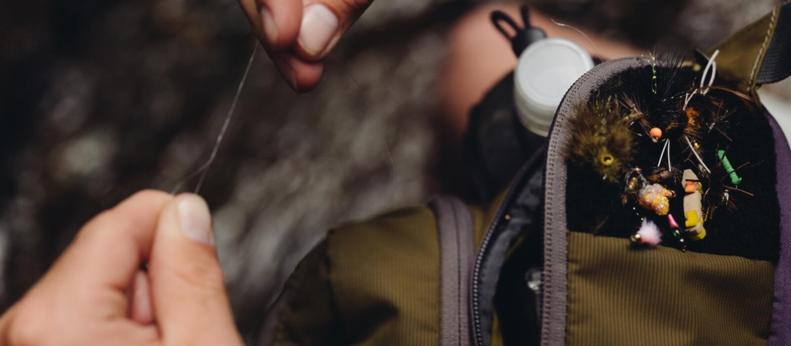 Dedication to the Craft