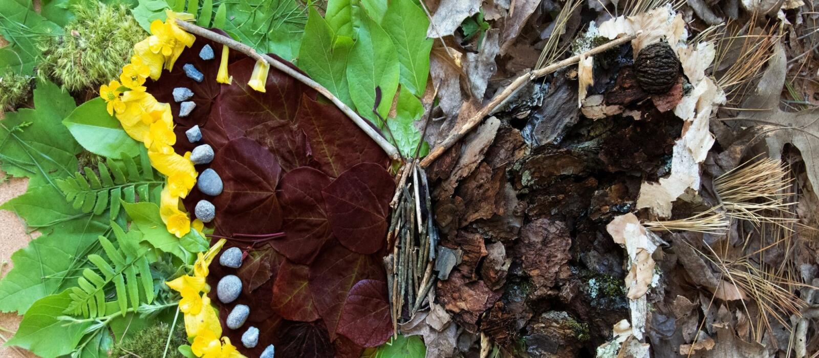 On Butterfly Wings