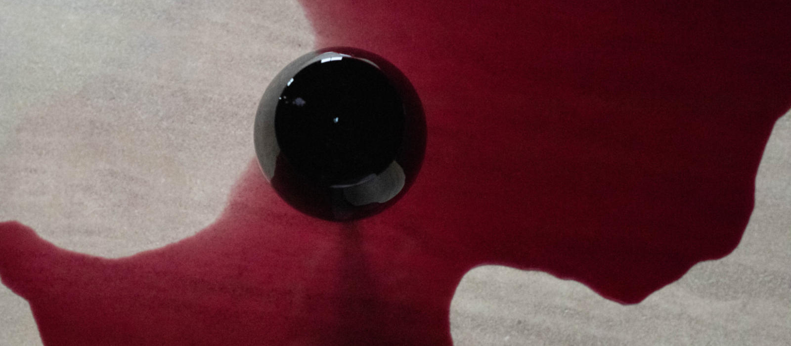 The Emancipation of the American Palate