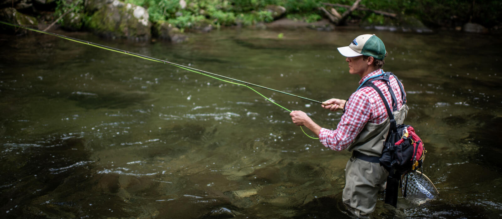Train Rides & Cocoons