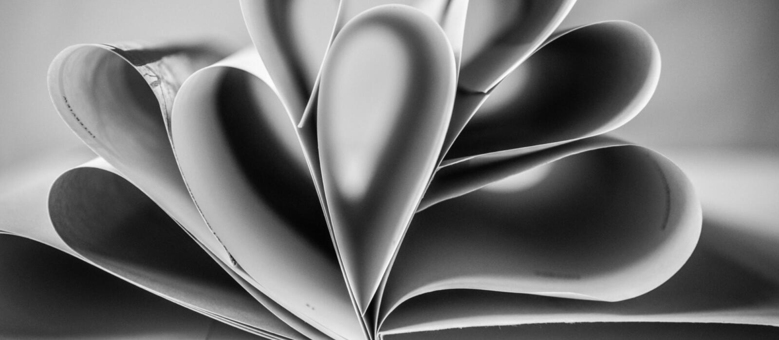 Well Read - The Texture Issue