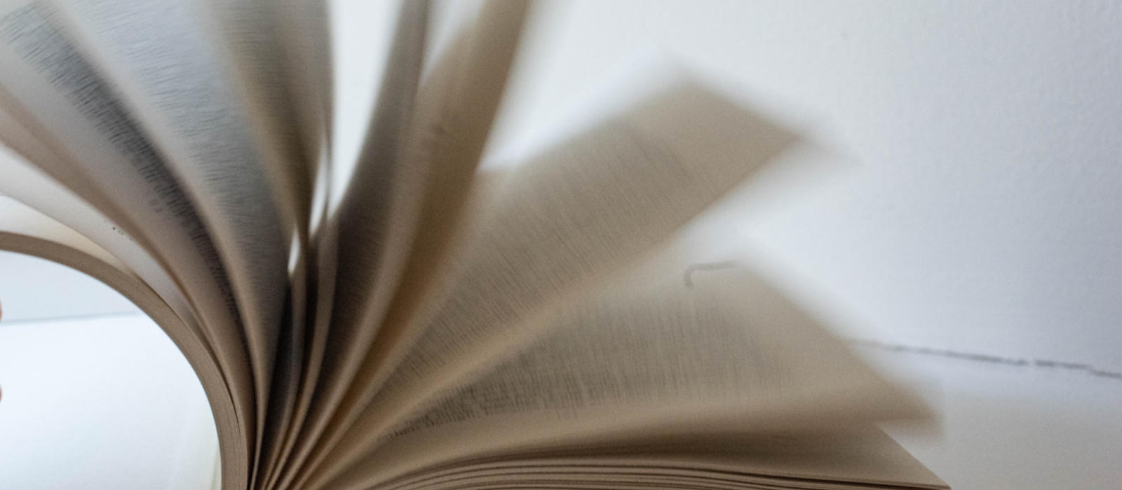 Well Read - The Radiate Issue