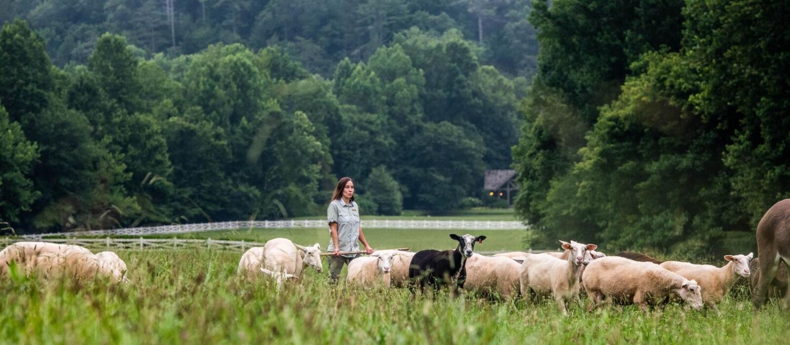 Free on the Farm