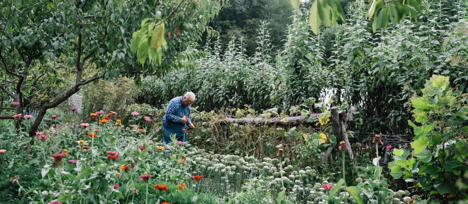 Cultivation in Full Color