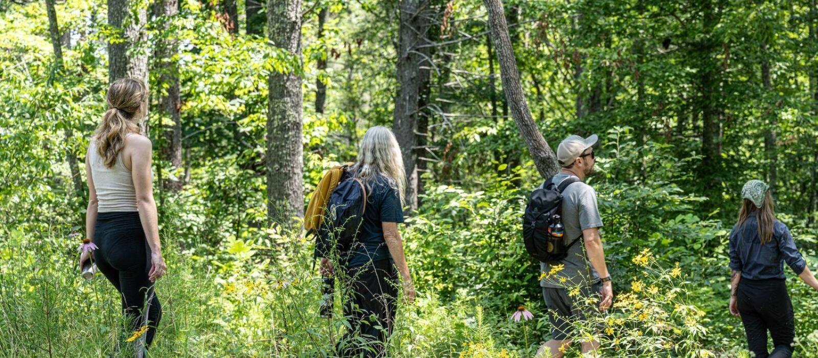 Full Range of Emotion