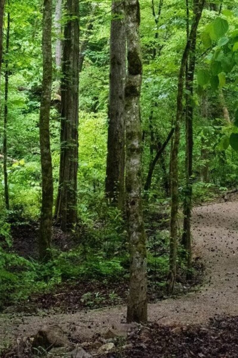 Test4