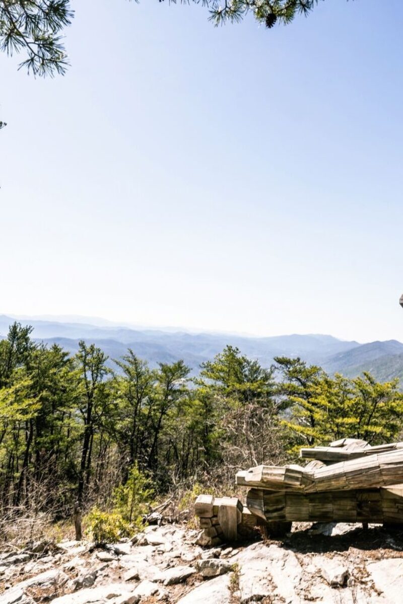 Art on the Mountain
