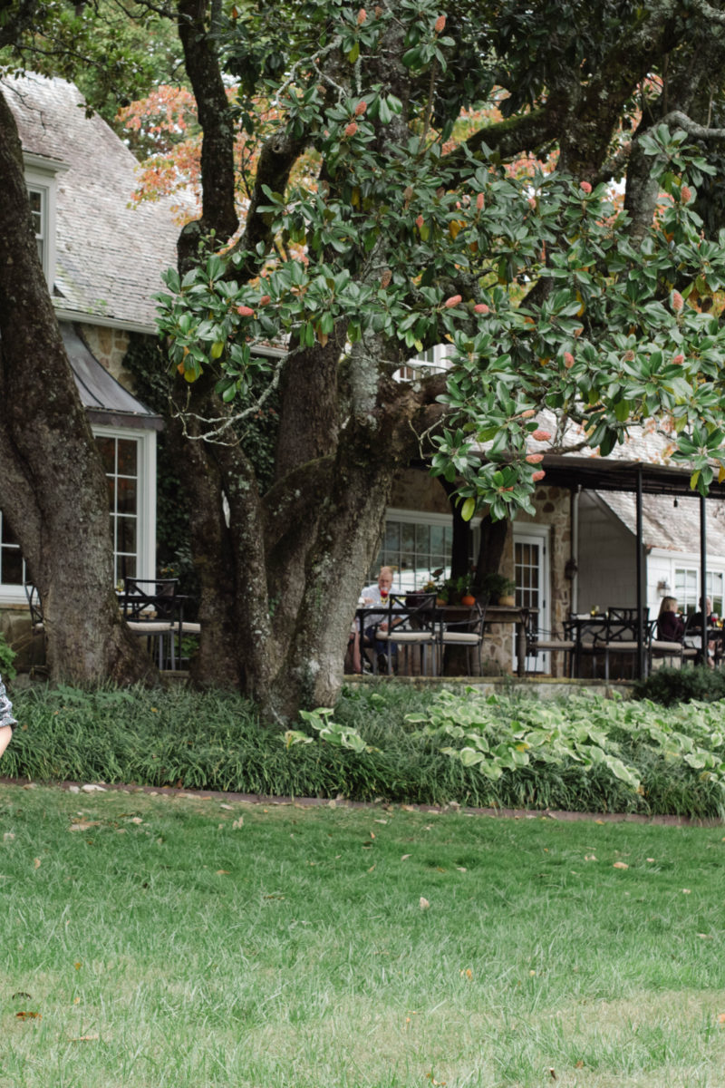 Kitchen Conversations: Sarah Steffan with Andy Chabot