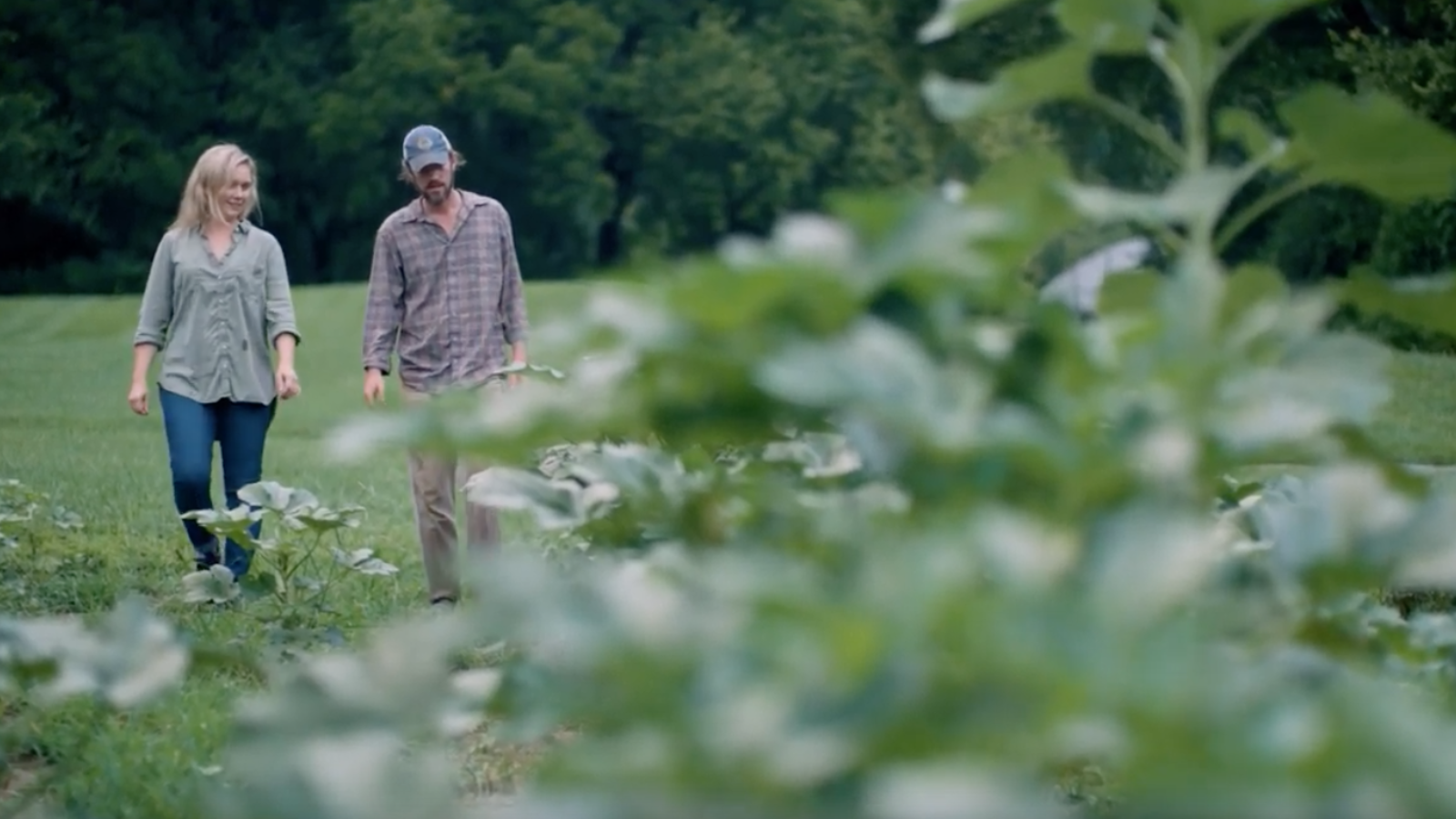 Blackberry Farm Artist Collaboration