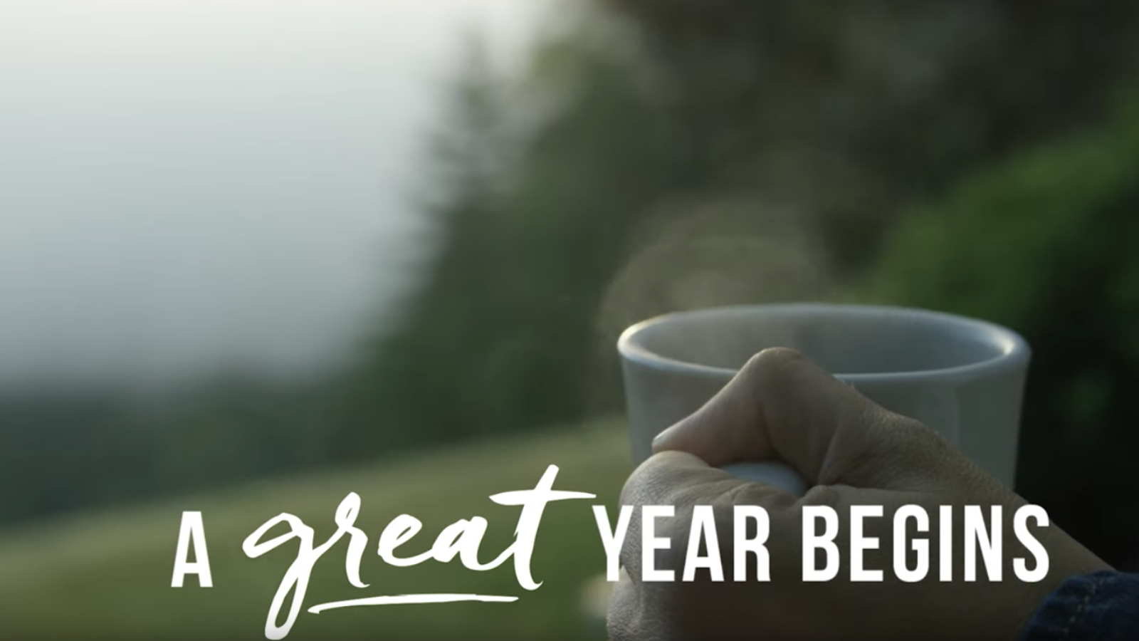 2017 Blackberry Year