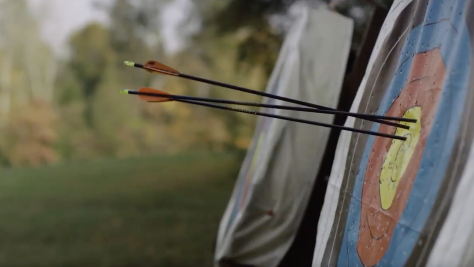 2018 Blackberry Year