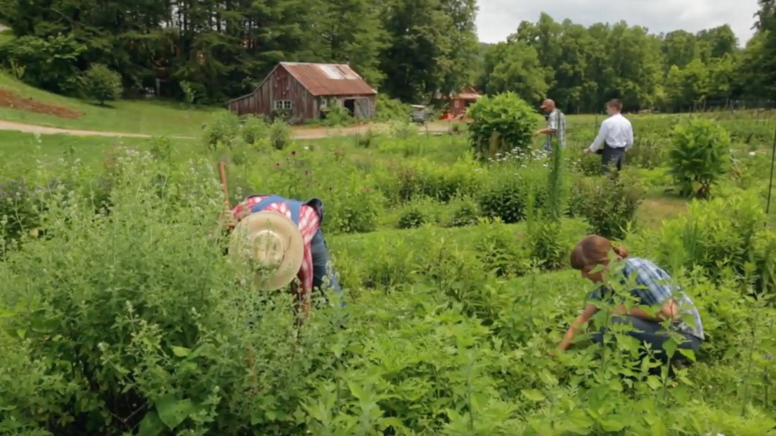 On the Farm with John Coykendall