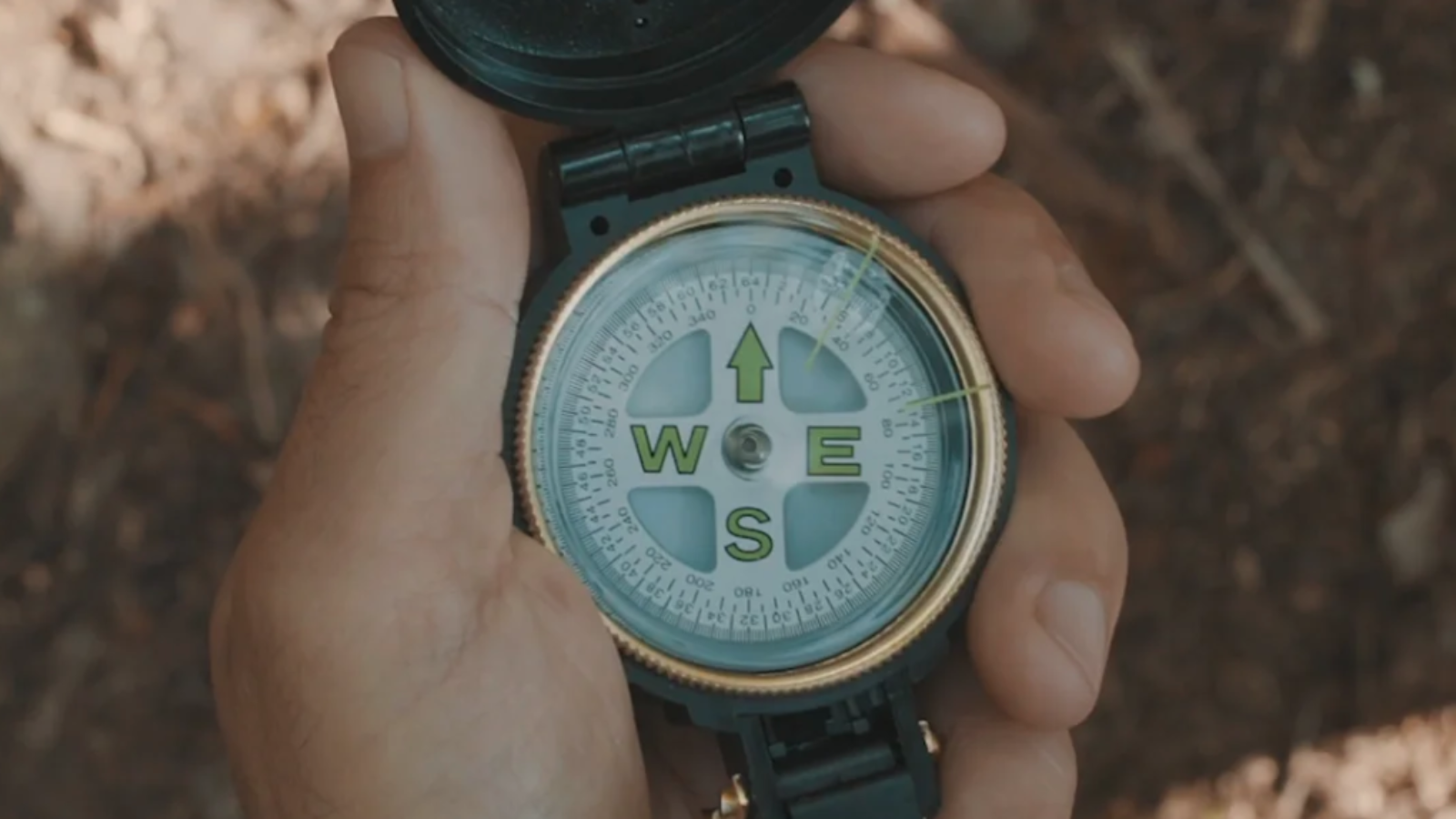 2020 Blackberry Year - Blackberry Mountain