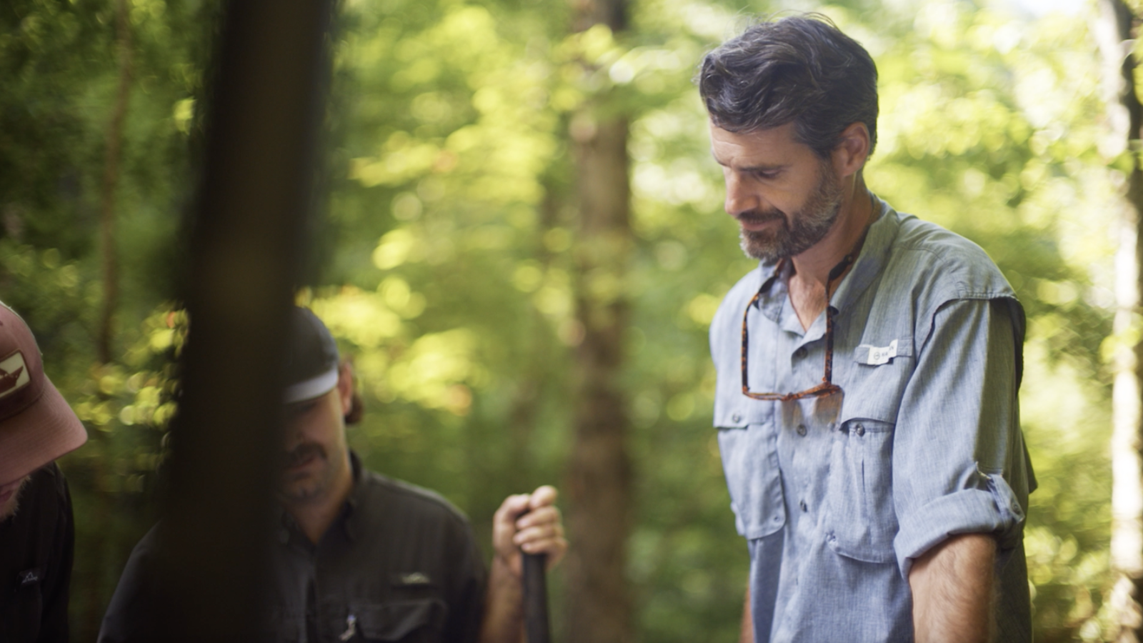 Blackberry Why - Brad LaFoy