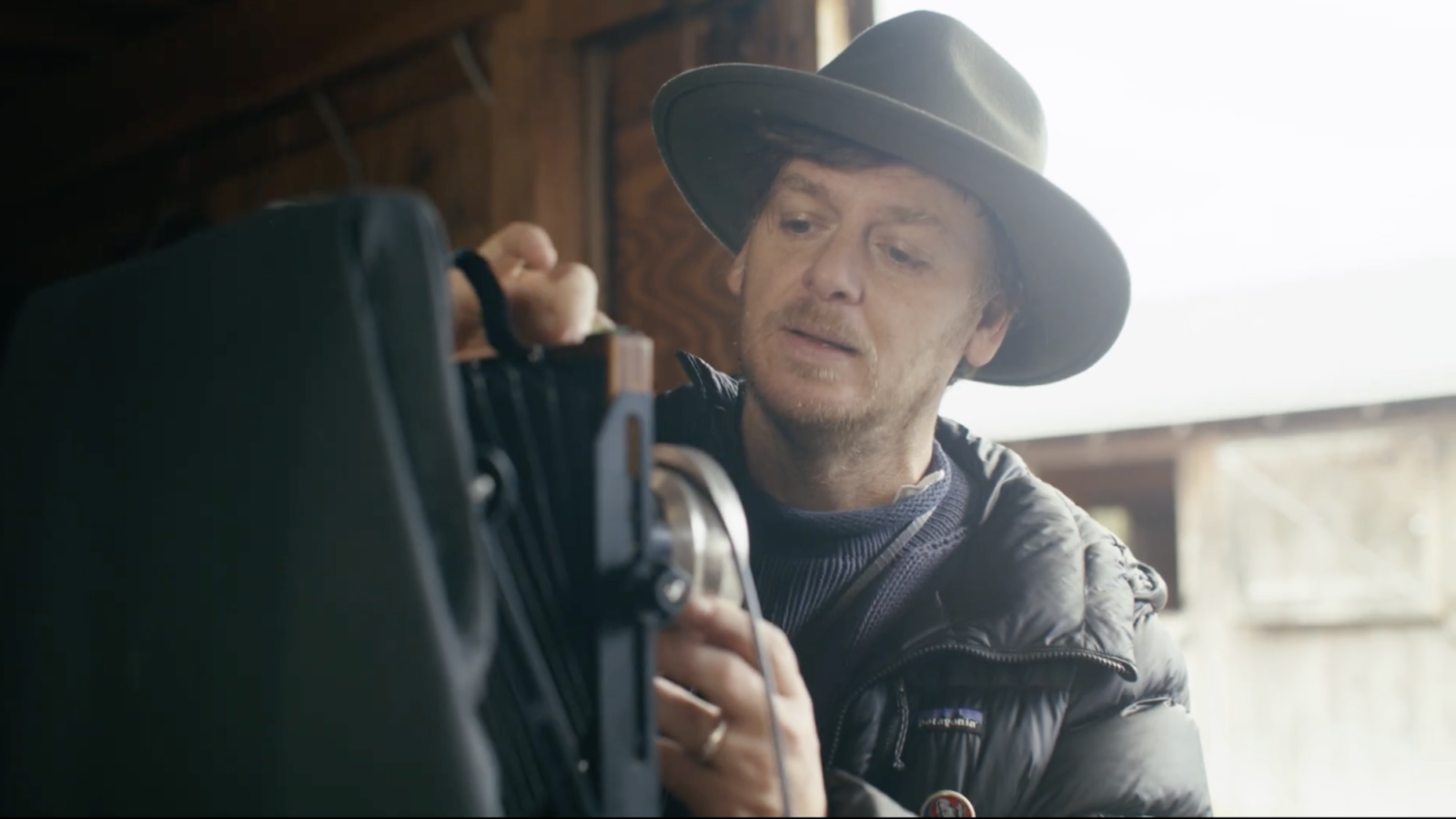 William Hereford x Blackberry Farm