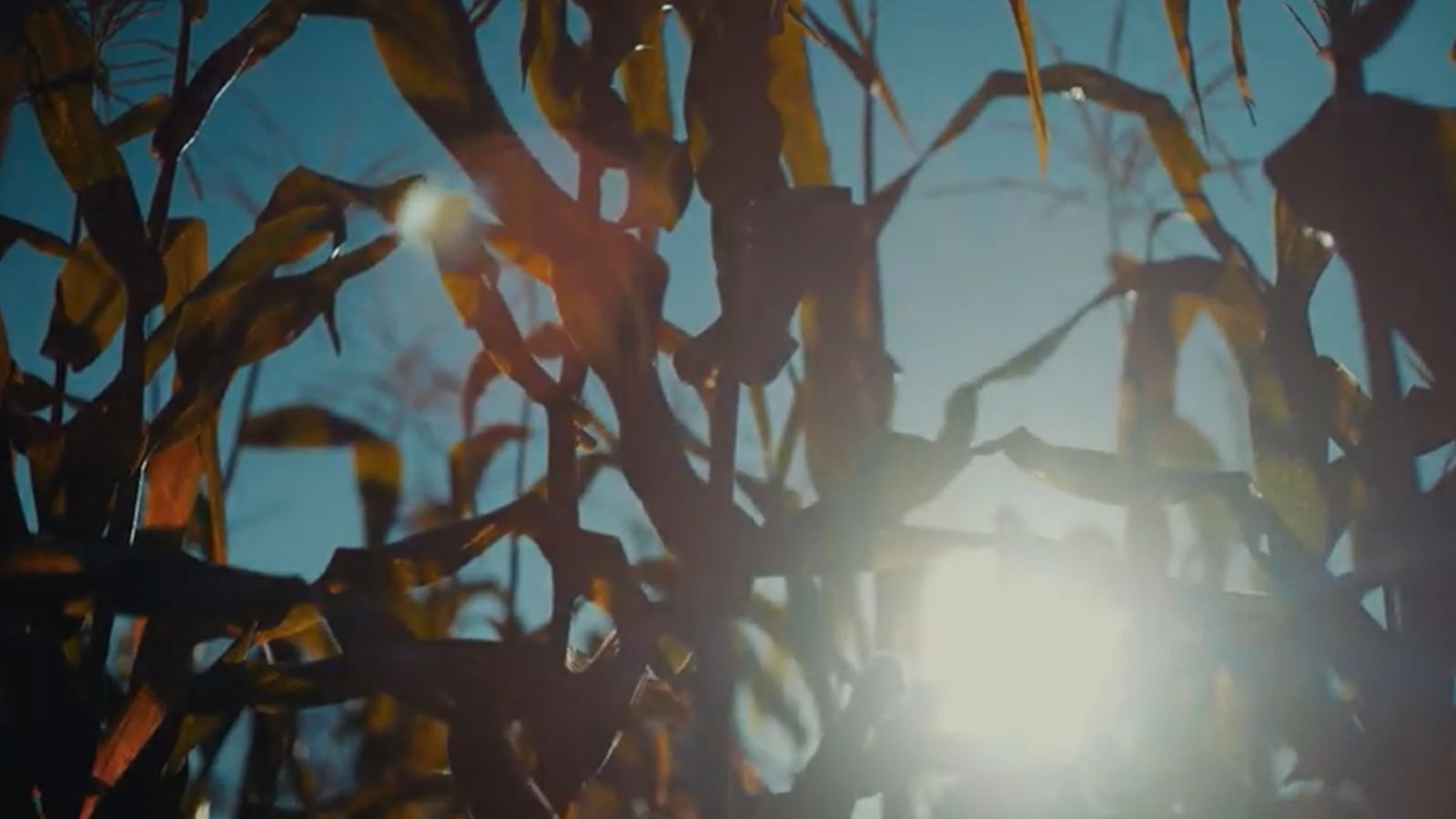 The Finer Things – Found: Farm