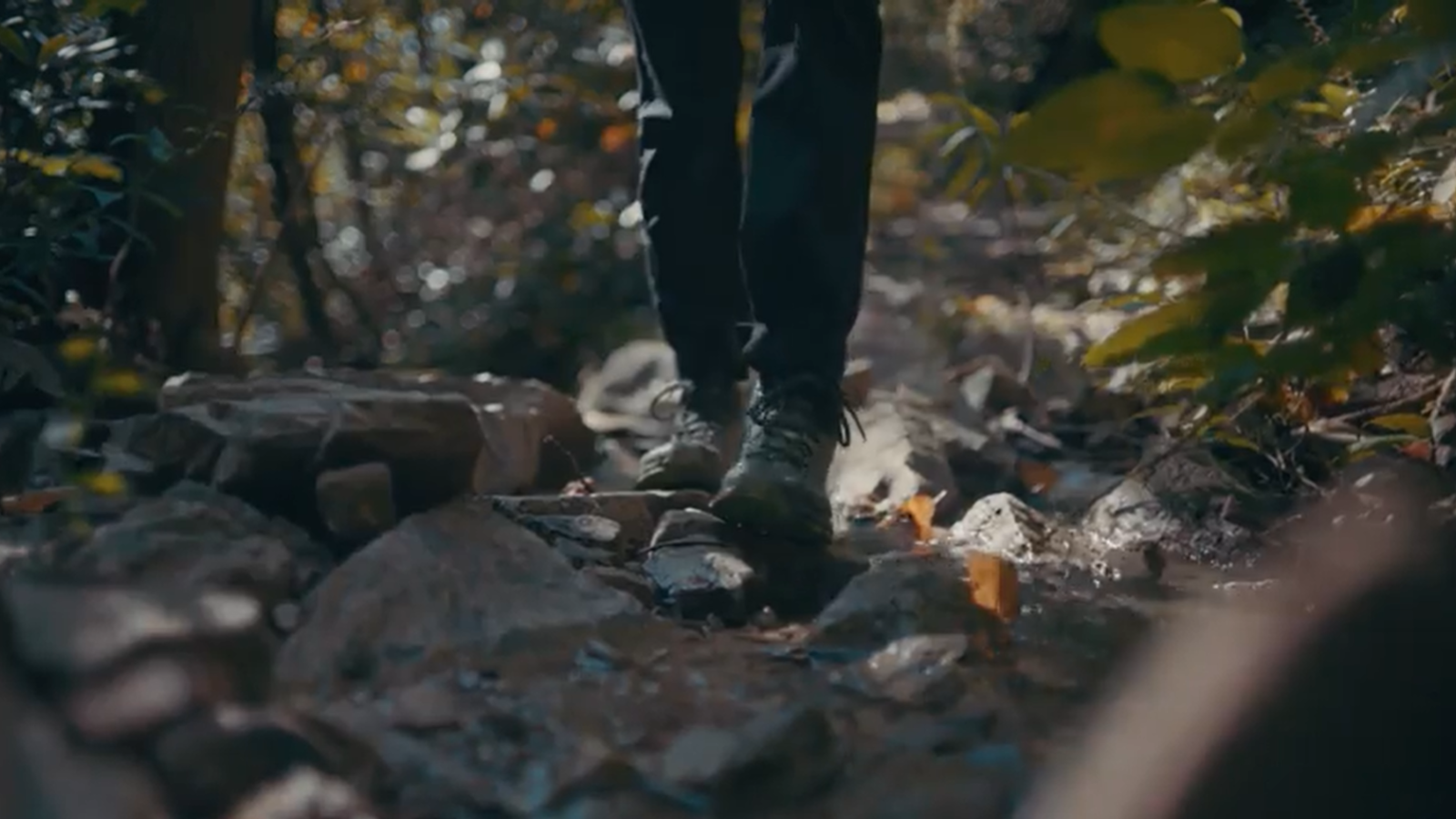 The Finer Things – Found: Mountain